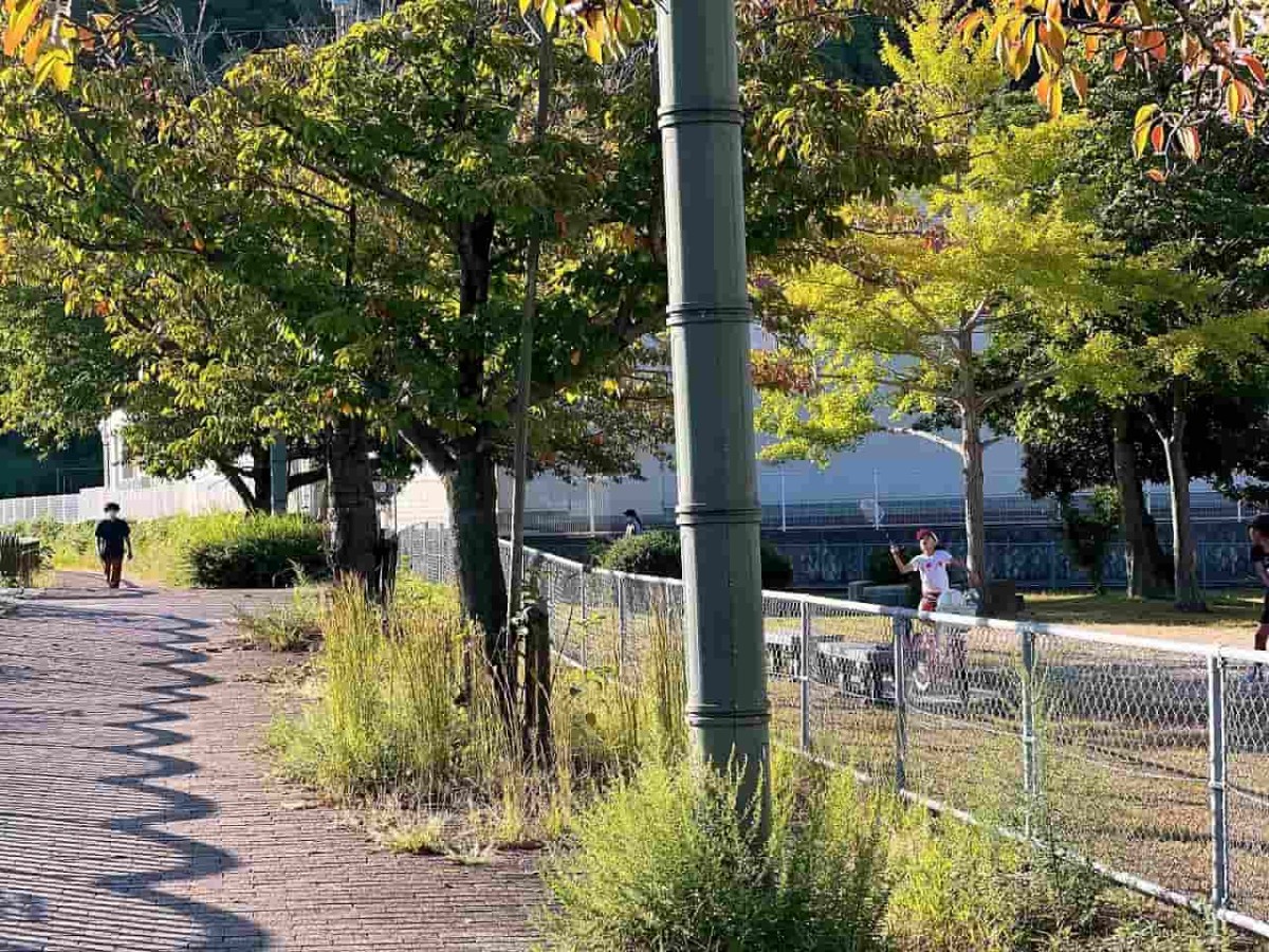 鳥取県米子市の新加茂川沿い近くの公園周辺の様子