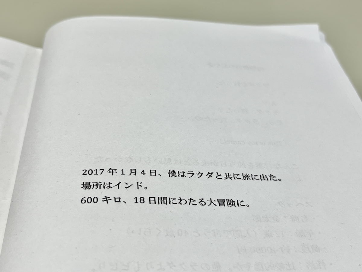 鳥取の移動販売カレー屋せかいのまんなかの店主が作ったジン「ラクダを買ってひとり旅」