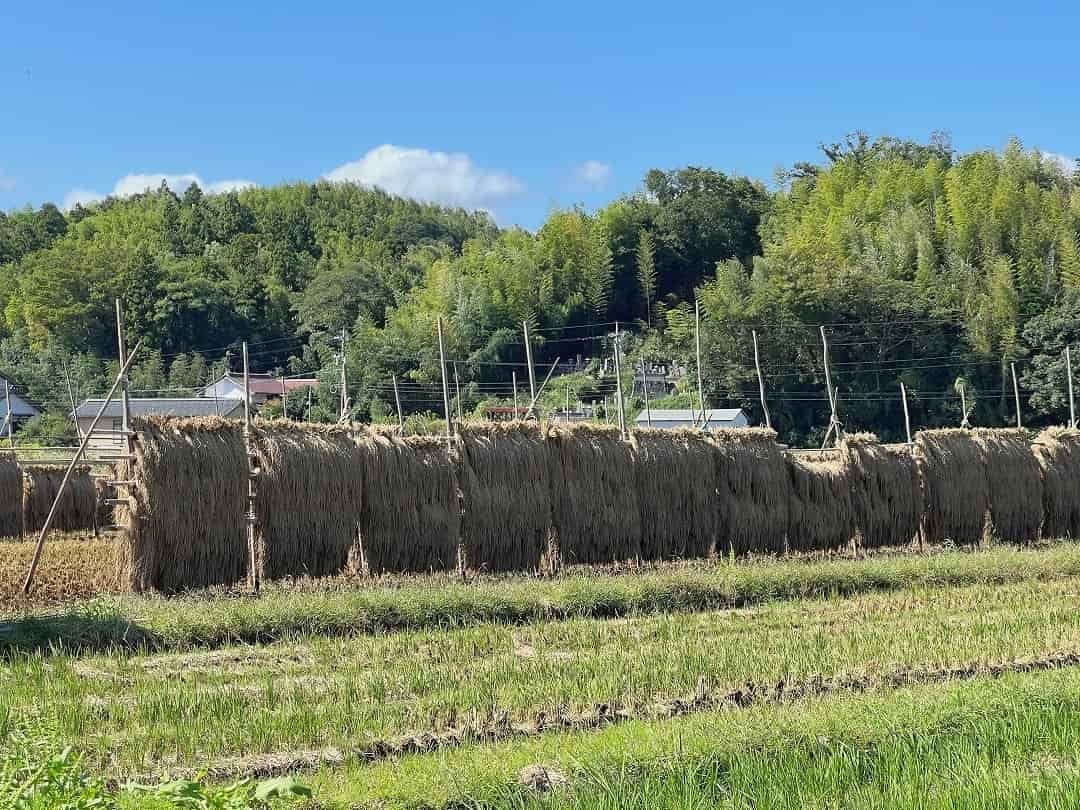 島根県安来市にある『古代出雲王陵の丘造山公園』の様子