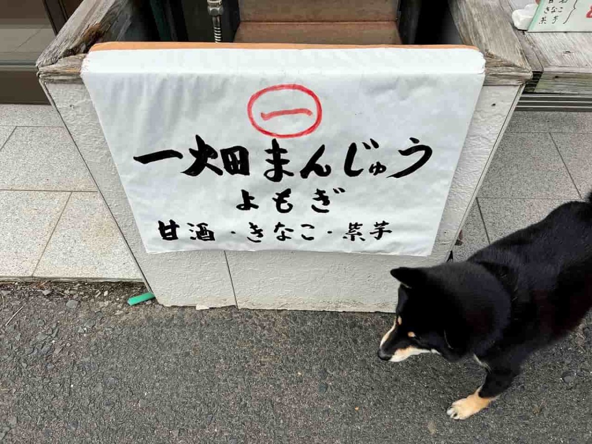 島根県出雲市の一畑薬師の参道沿いにある『なかやま商店』の看板犬モモ