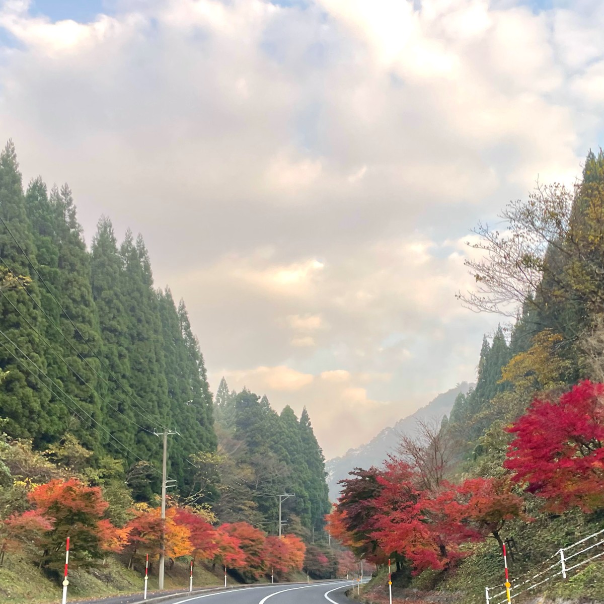 島根県飯南町の穴場紅葉スポット「東三瓶フラワーバレー」周辺の紅葉の様子