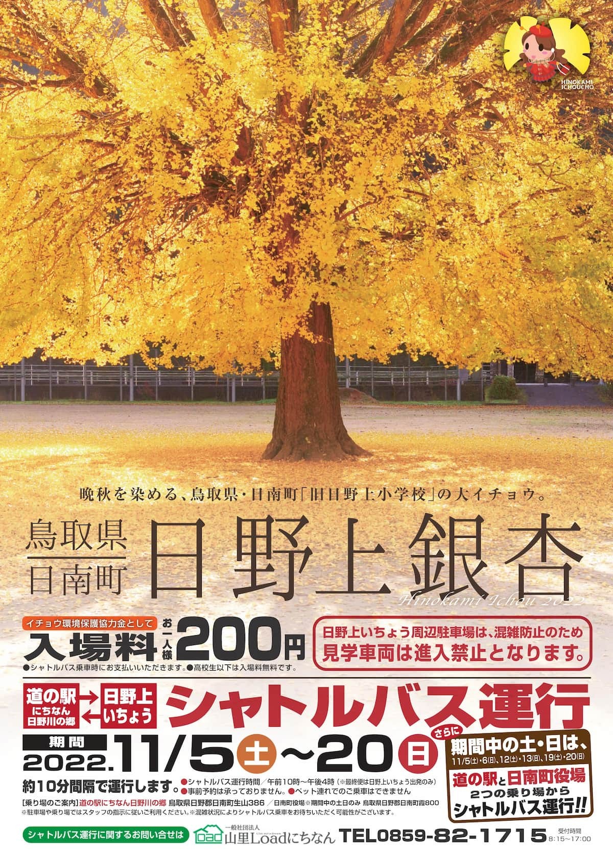 鳥取県日南町を代表する紅葉の名所、旧日野上小学校の『日野上銀杏』2022年シーズン概要チラシ