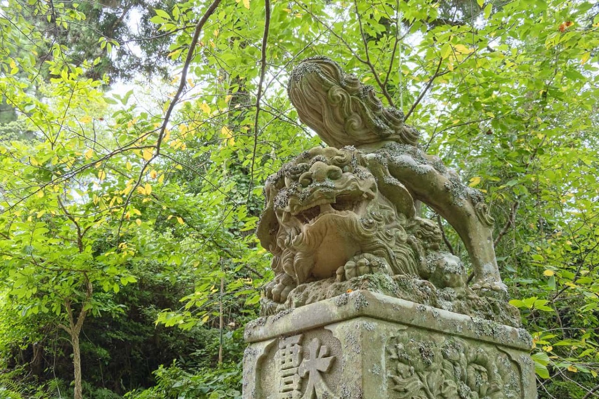 島根県隠岐諸島・海士町（中ノ島）の観光名所『隠岐神社』の狛犬