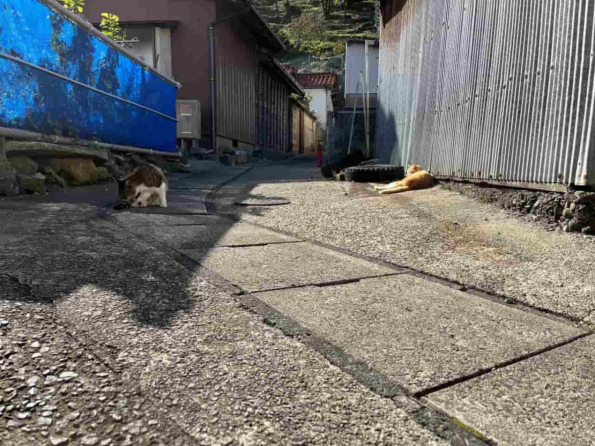 島根県松江市島根町加賀の町並み