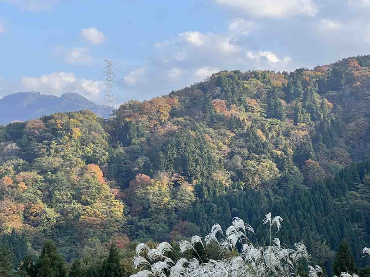 鳥取県鹿野町河内地区の佐谷峠にある展望台駐車場の様子