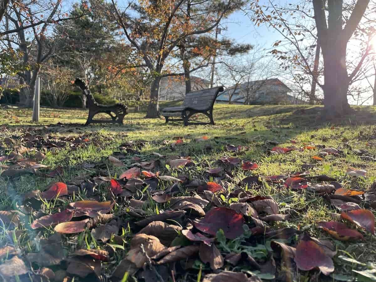 鳥取県境港市の『上道東２号公園』向き合うベンチ