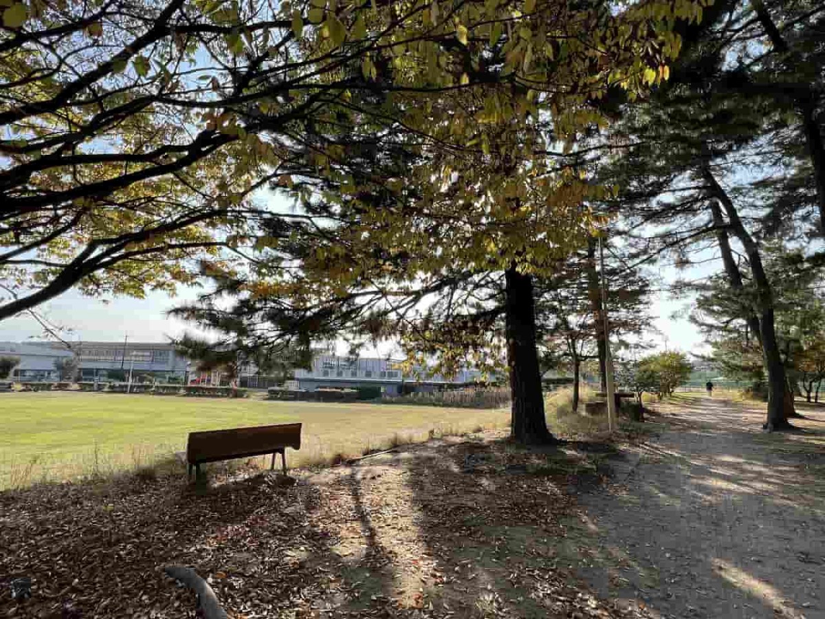 鳥取県鳥取市にある『湖山公園』の様子