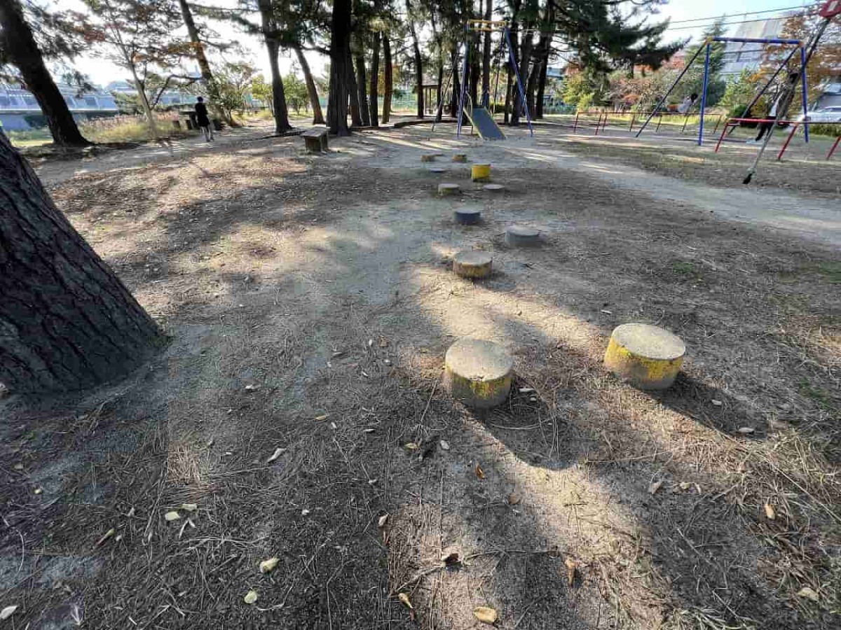 鳥取県鳥取市にある『湖山公園』の様子