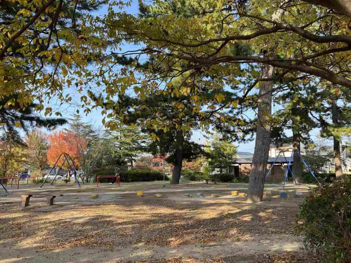 鳥取県鳥取市にある『湖山公園』にある遊具の様子