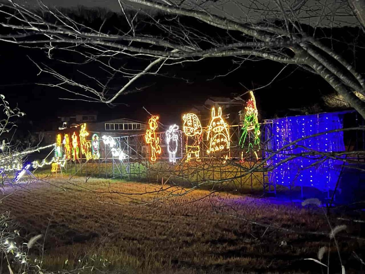 島根県安来市伯太町で見られるイルミネーションの様子