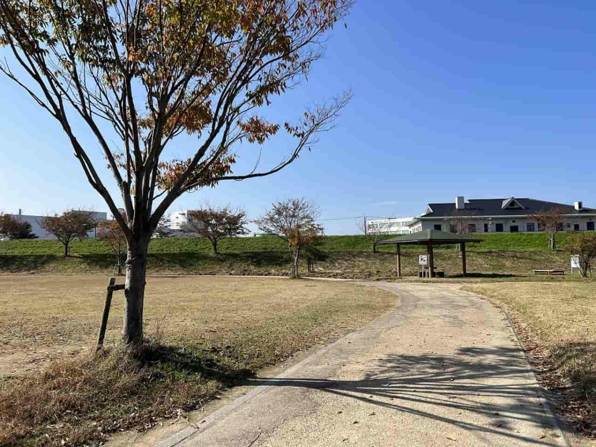 鳥取県鳥取市にある『重箱緑地公園』の広場