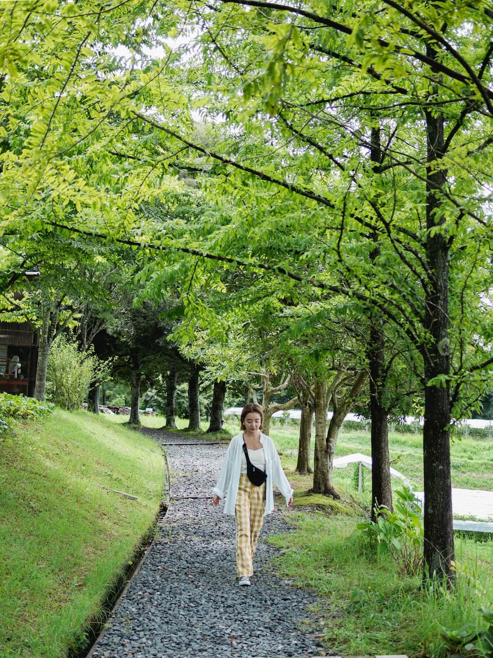 島根県奥出雲町の王道観光スポット『奥出雲葡萄園』