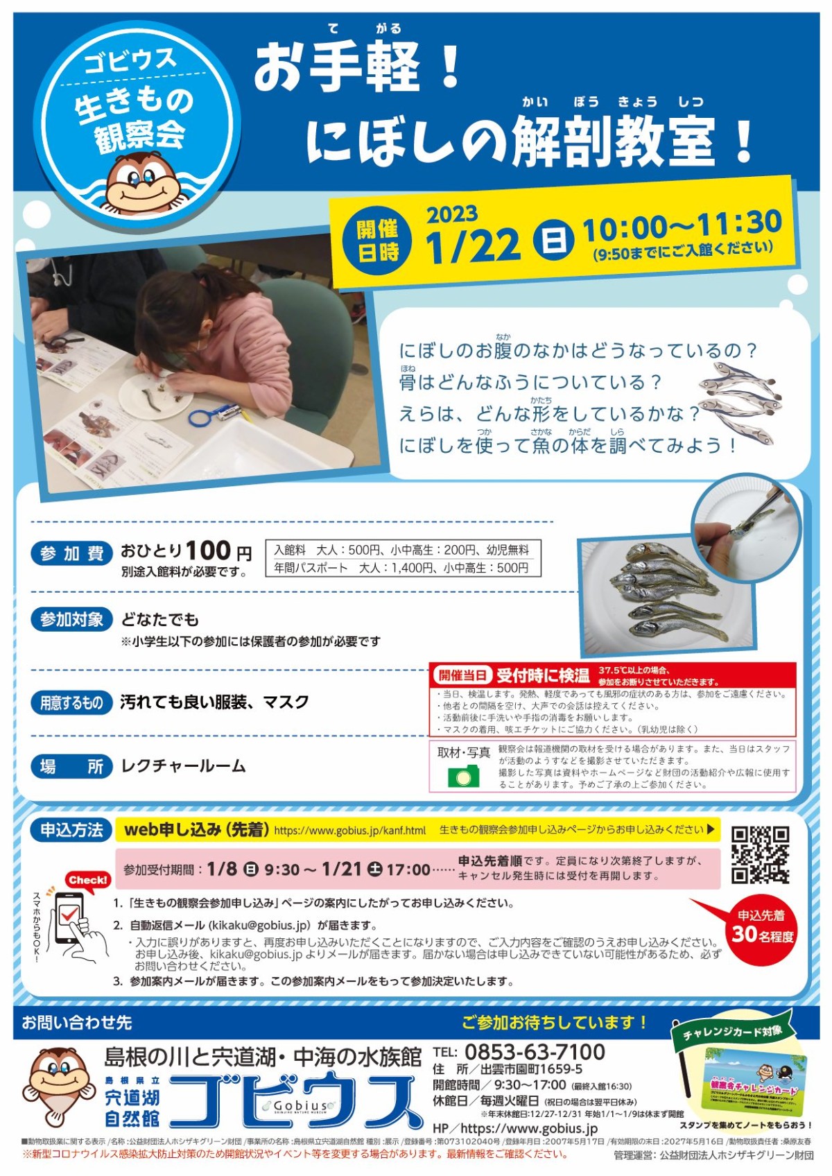 島根県出雲市のイベント「ゴビウス生きもの観察会「お手軽！にぼしの解剖教室！」」のチラシ