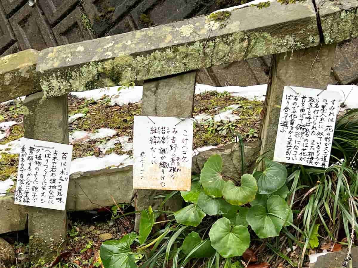 島根県益田市の『高津柿本神社』の参道沿い