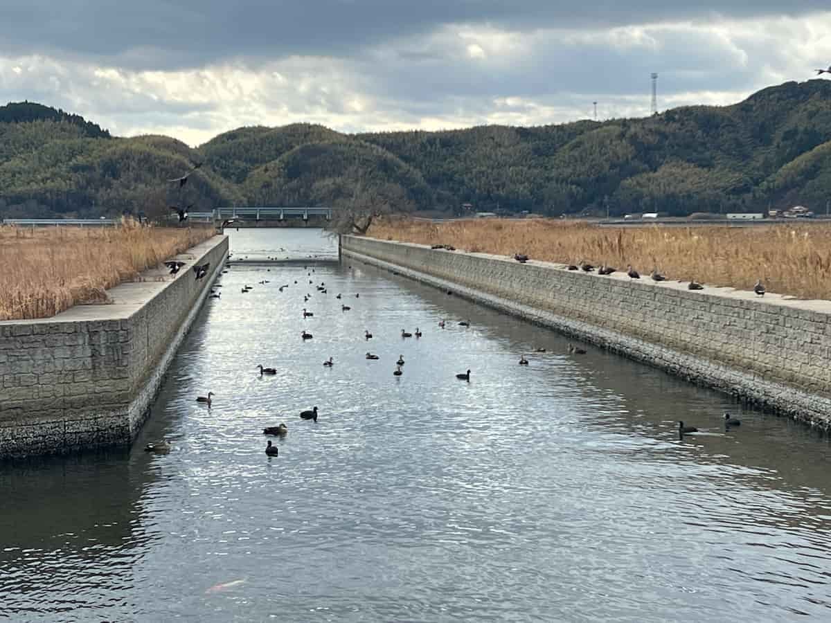 鳥取県米子市彦名町の『安倍彦名団地公園』近くにある中海沿いの歩道