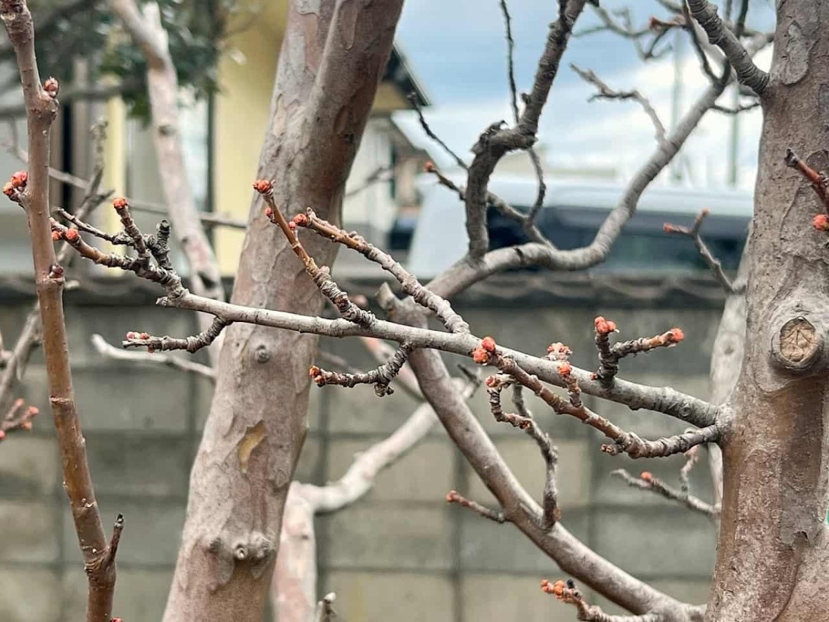 鳥取県米子市の431号線近くにある『福米西公園』の様子