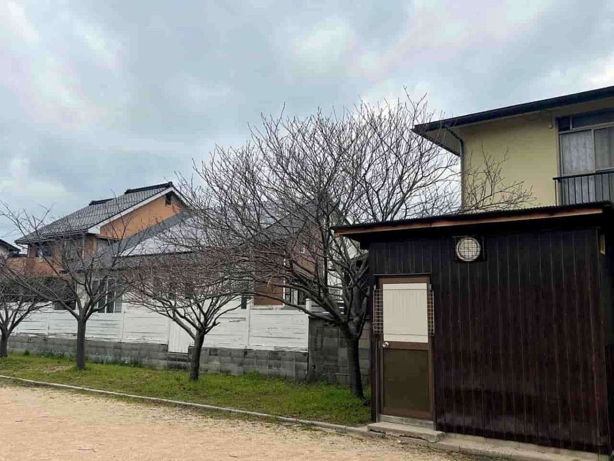 鳥取県米子市の431号線近くにある『福米西公園』の植物の様子