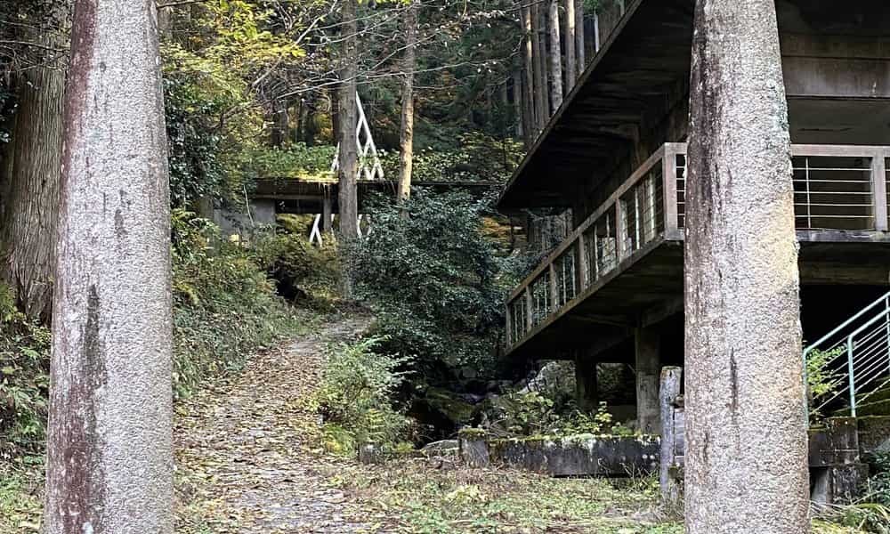 鳥取県八頭郡智頭町にある『杉神社』