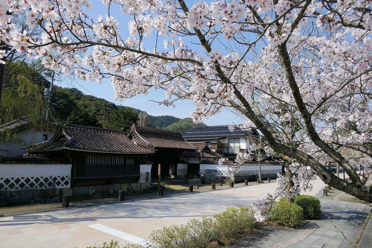 「津和野あんこ旅」が開催される島根県津和野町の町並み