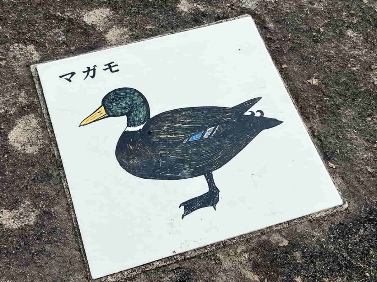 島根県松江市の国道９号沿いにある『宍道湖ふれあいパーク』の様子