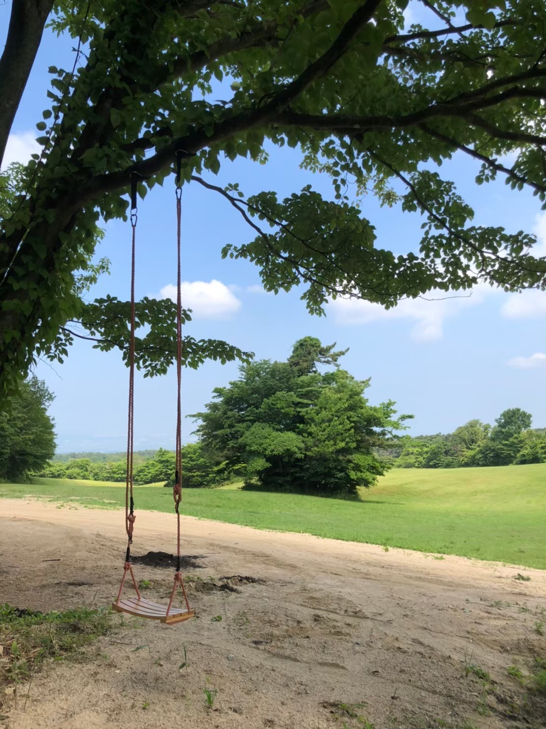 鳥取県伯耆町にあるオートキャンプ場『ますみず天空キャンプ場』のキャンプサイト