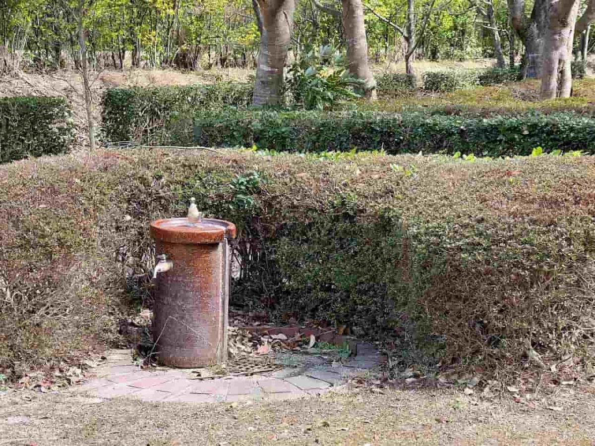 島根県松江市玉湯町にある『空口公園』の様子