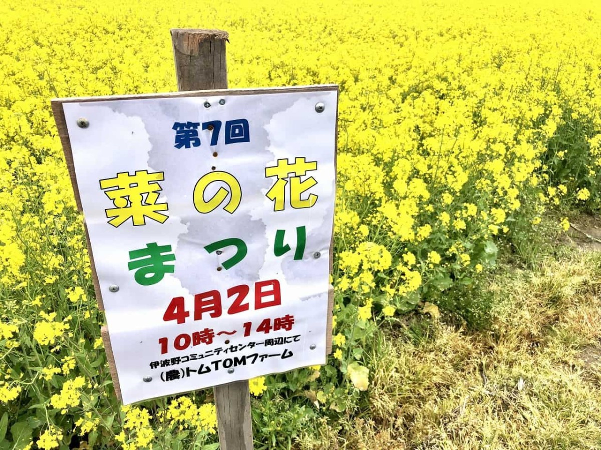 島根県出雲市斐川町にある「菜の花畑」の様子