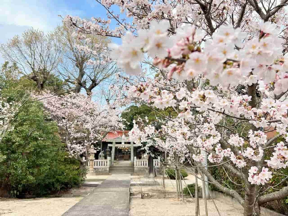 鳥取県境港市にある「餘子神社（あまりこじんじゃ）」の春の様子