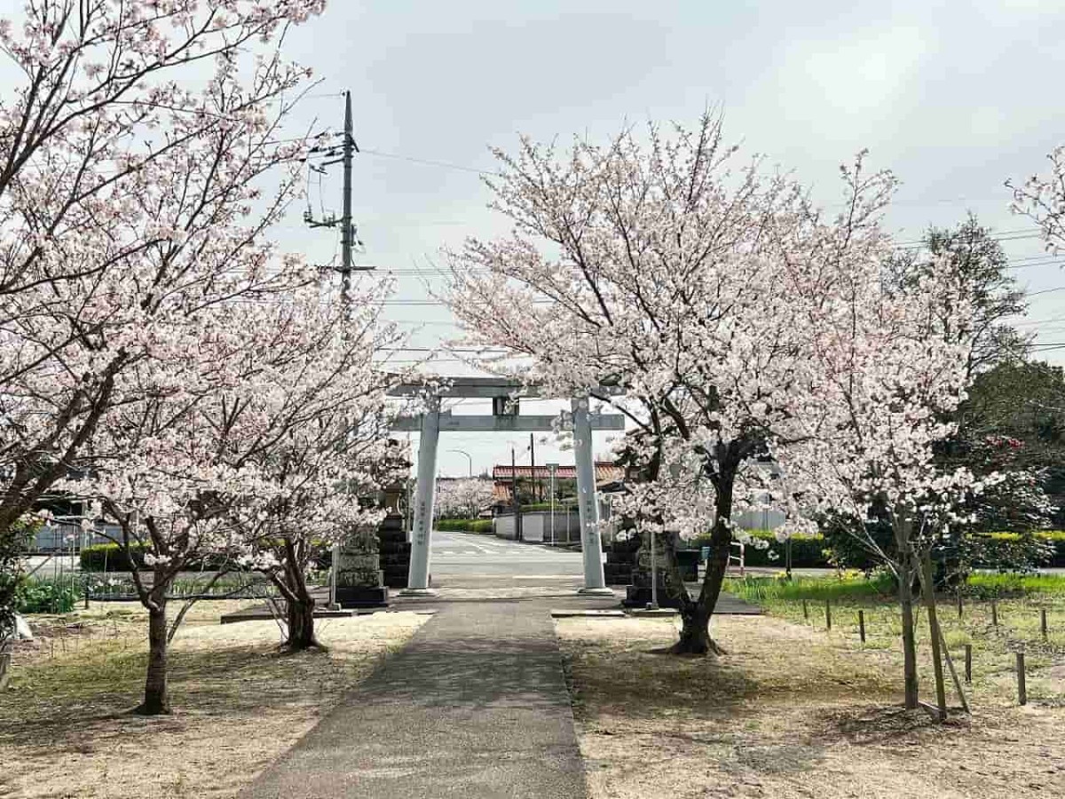 鳥取県境港市にある「餘子神社（あまりこじんじゃ）」の春の様子