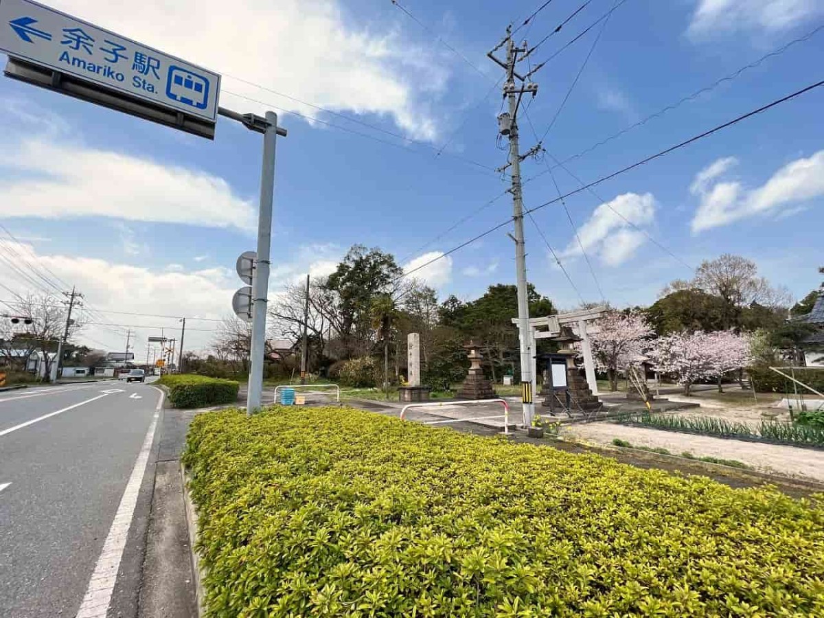 鳥取県境港市にある「餘子神社（あまりこじんじゃ）」の春の様子