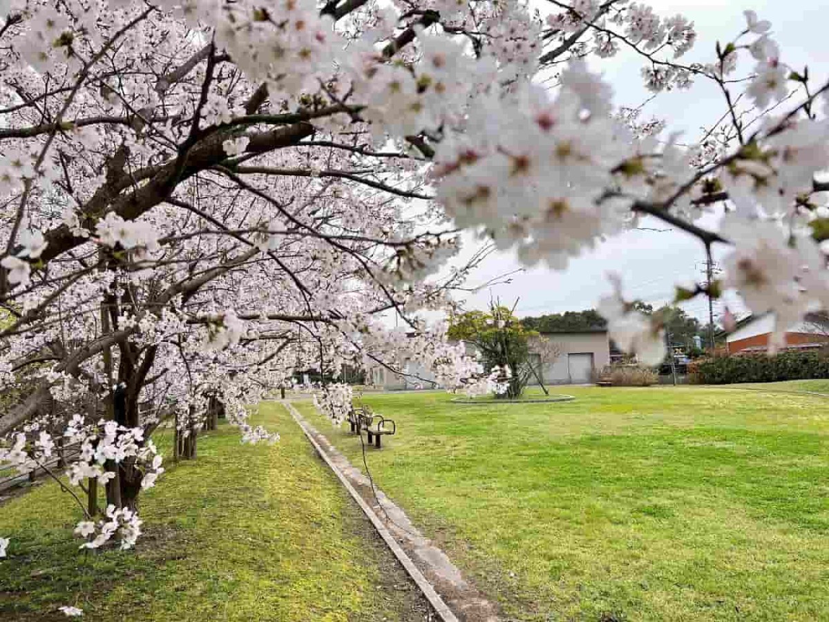 鳥取県境港市にある『余子駅前公園』の様子