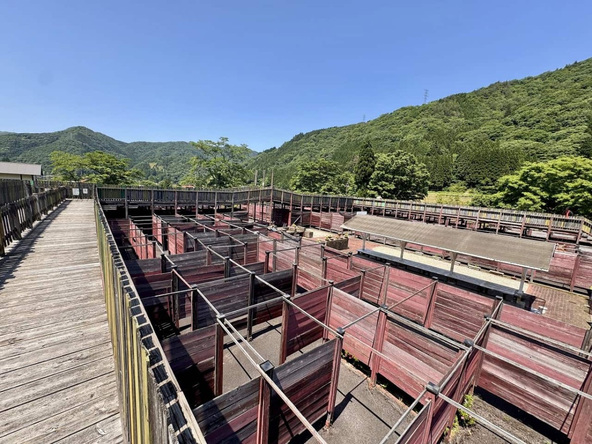 島根県益田市にある巨大迷路『ランズボローメイズ匹見』の全景