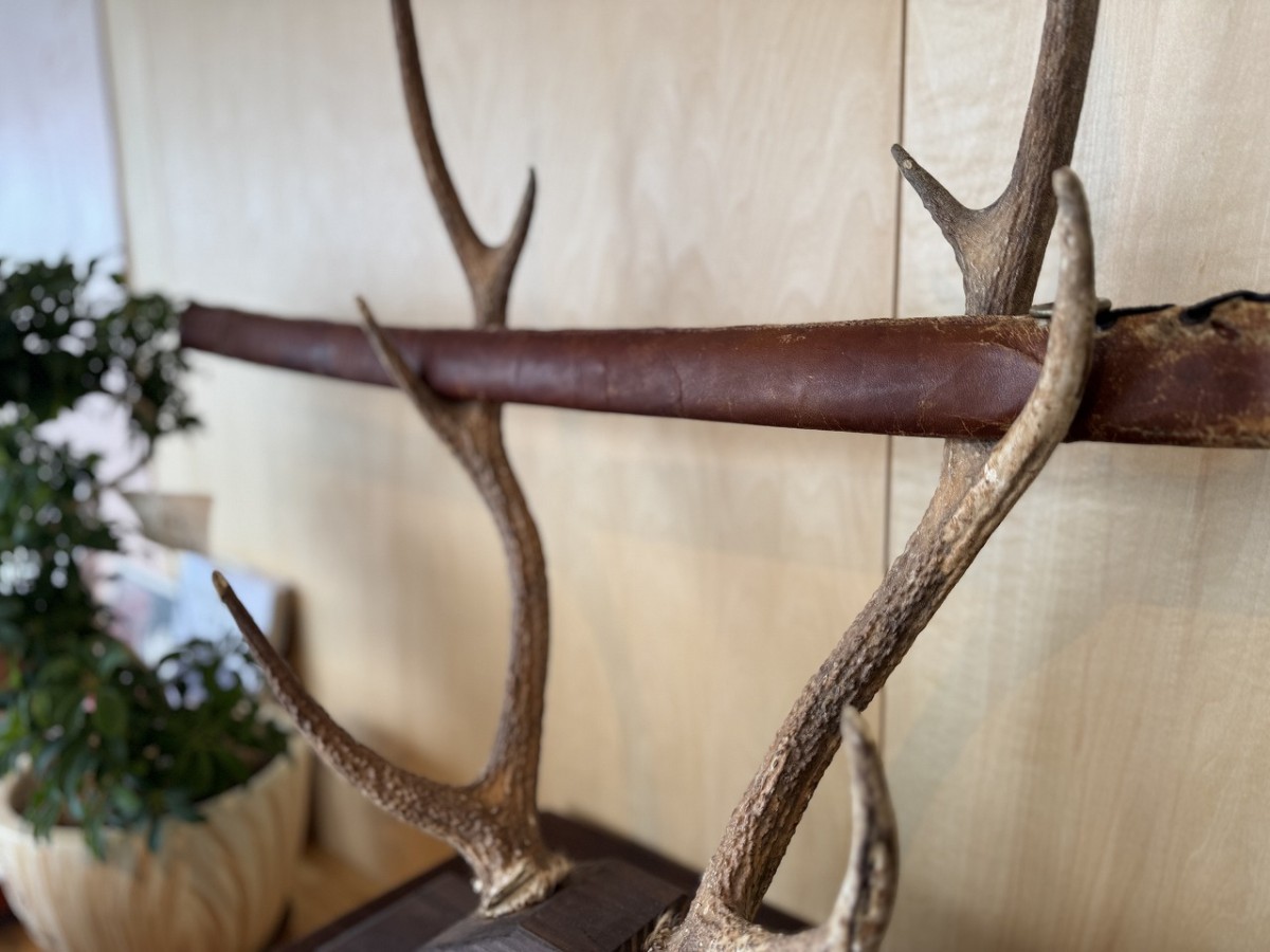島根県安来市にあるカフェ『サムライの昼寝』の装飾品