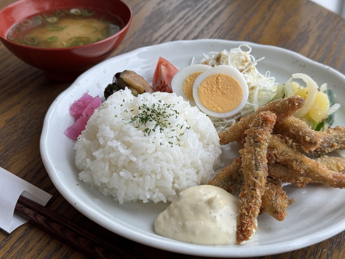 島根県安来市にあるカフェ『サムライの昼寝』の日替わりランチ