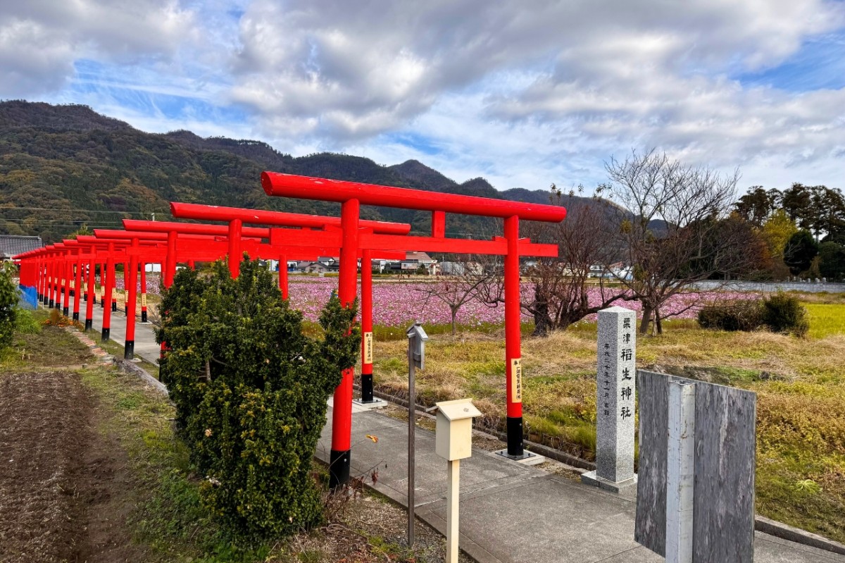 島根県出雲市にある『粟津稲生神社』参道の様子