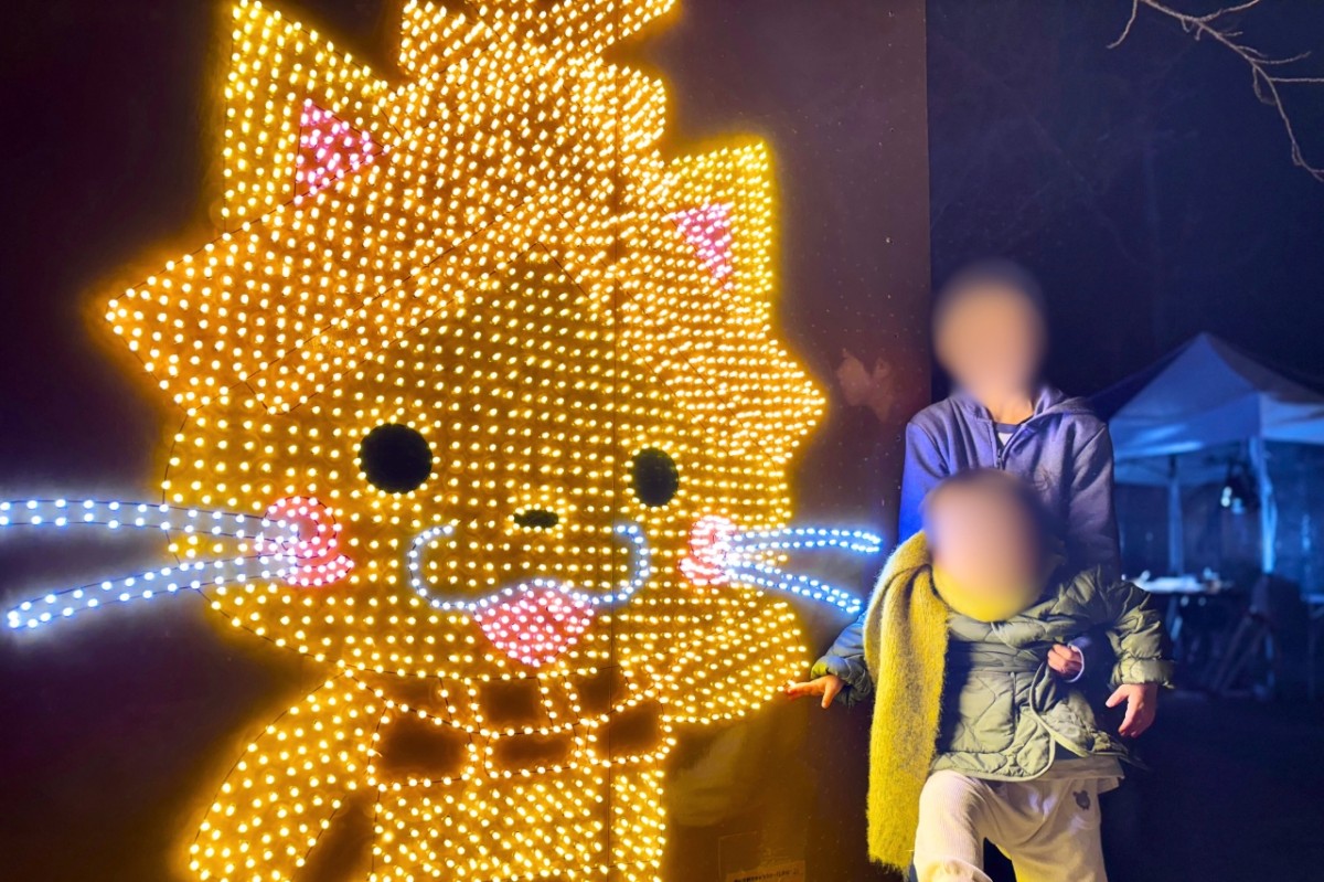 島根県出雲市で開催されているイルミネーションイベント「ミライトいずも」の様子