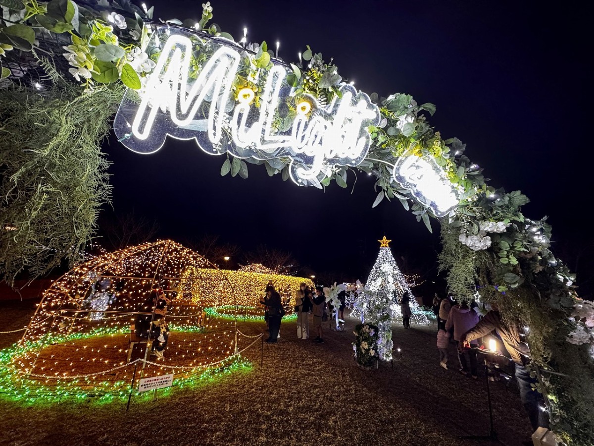 島根県出雲市で開催されているイルミネーションイベント「ミライトいずも」の様子