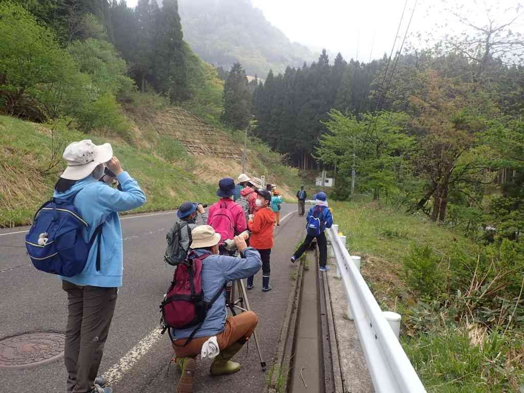 鳥取県八頭郡のイベント「【要予約】スペシャル観察会 野鳥観察」のイメージ