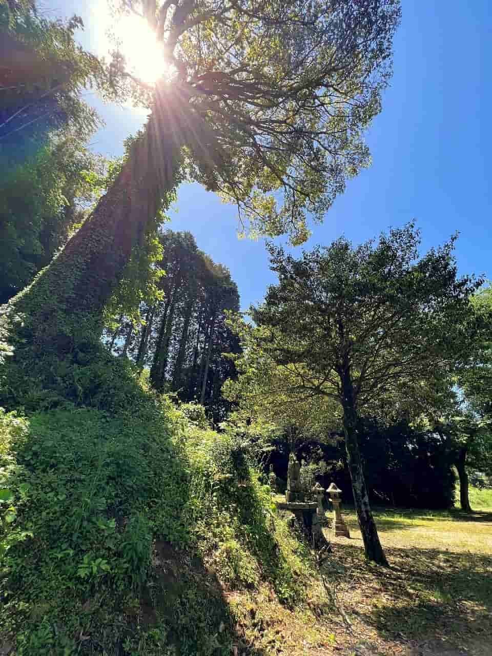 島根県松江市東忌部町にある『大川端遊園地』の様子