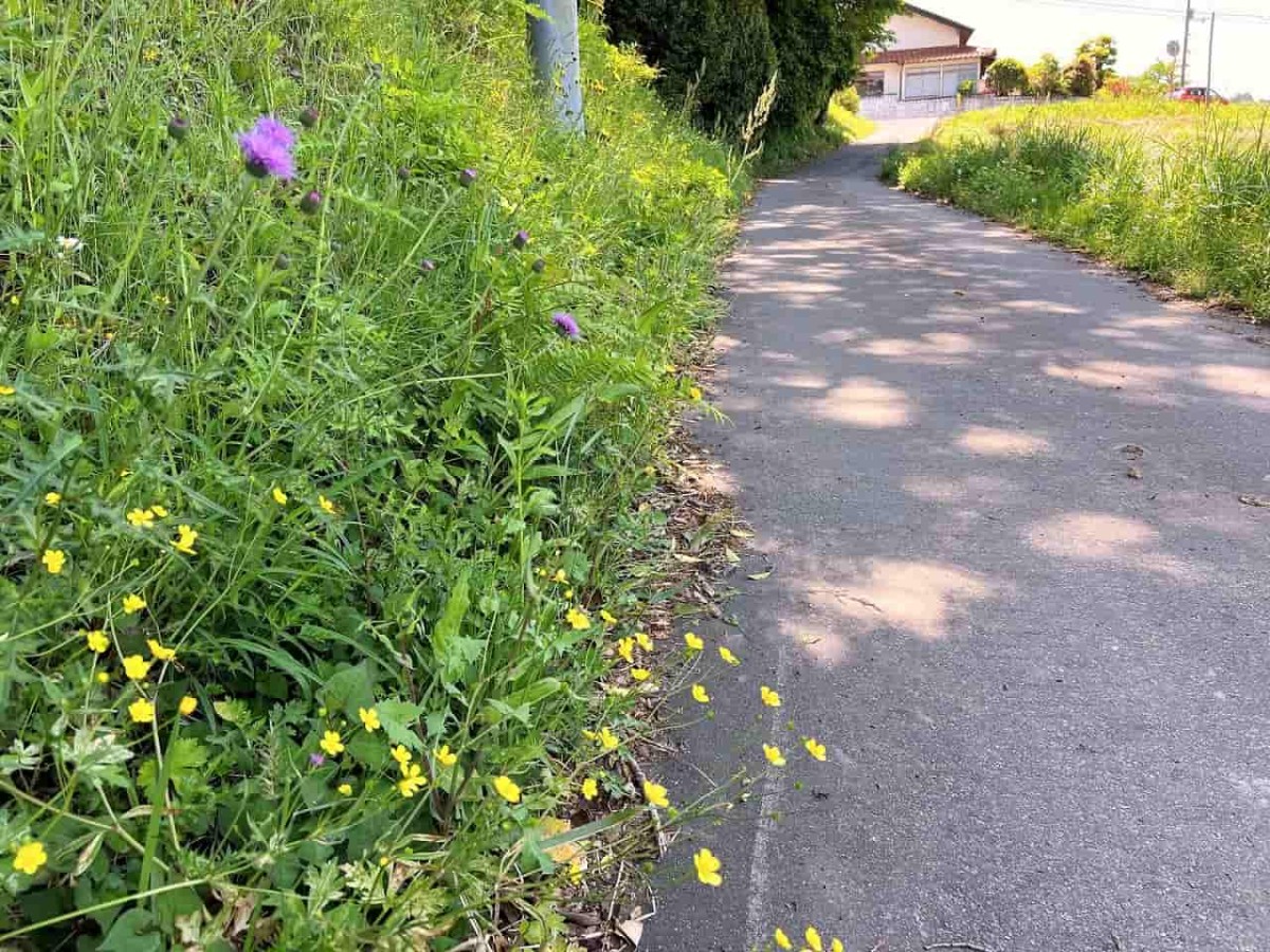 島根県松江市東忌部町にある『大川端遊園地』の様子