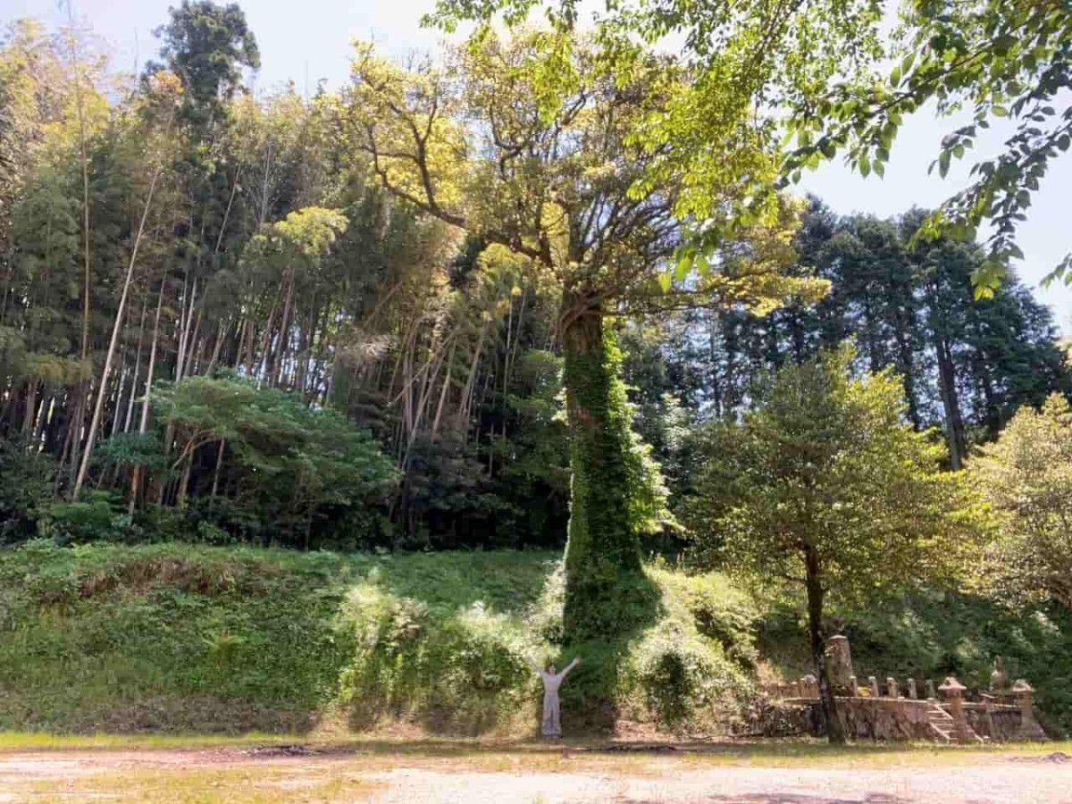 島根県松江市東忌部町にある『大川端遊園地』の様子