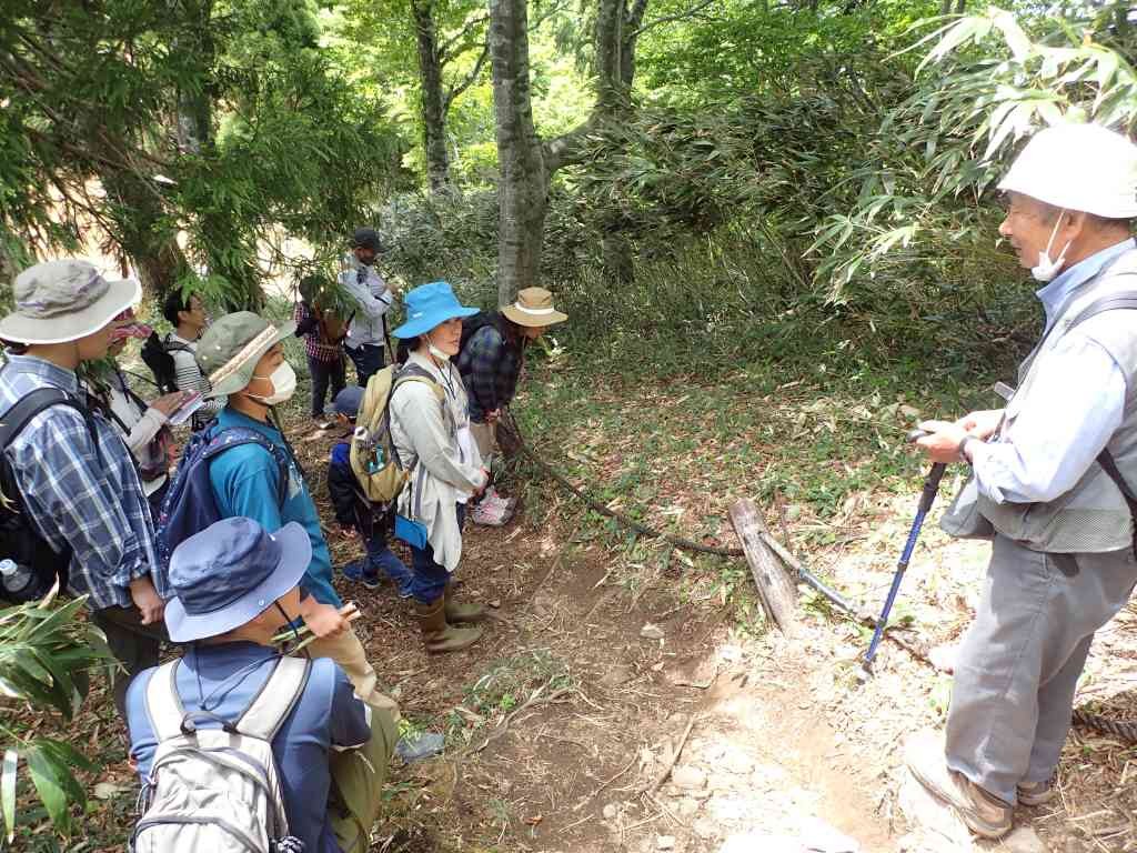 鳥取県八頭郡若桜町のイベント「【要予約】スペシャル観察会 初夏の植物観察」のチラシ