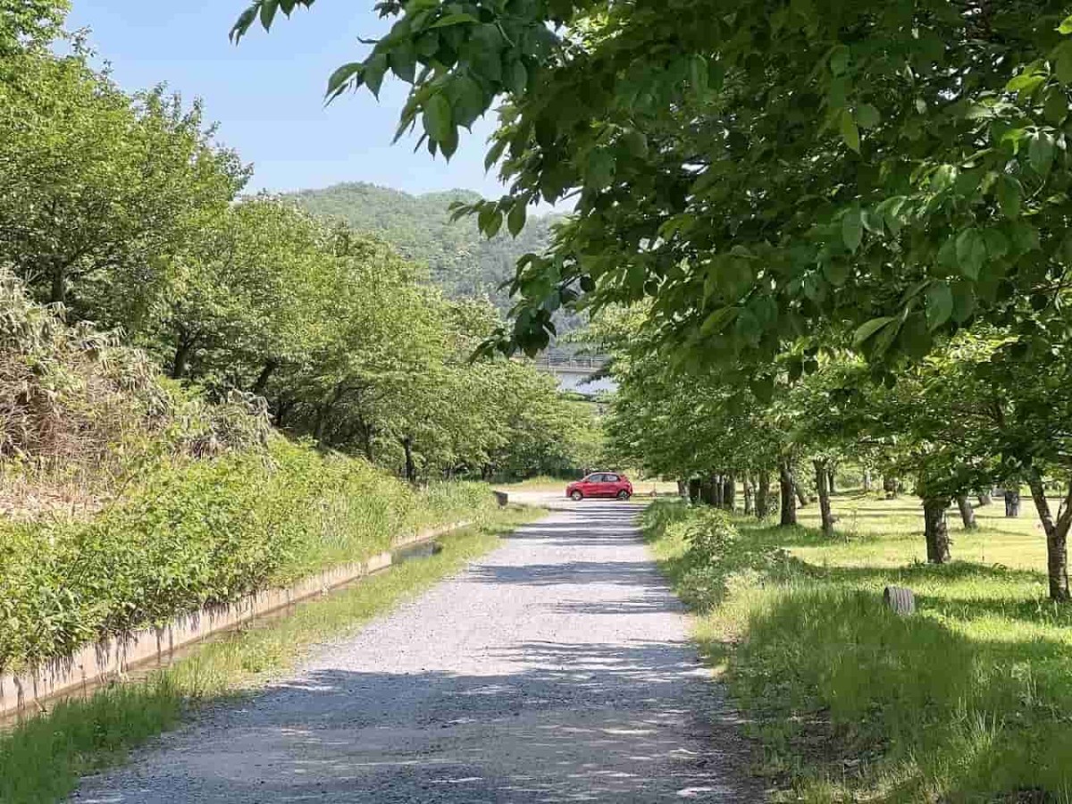 鳥取県西伯郡伯耆町にある「ささふく水辺公園」の様子