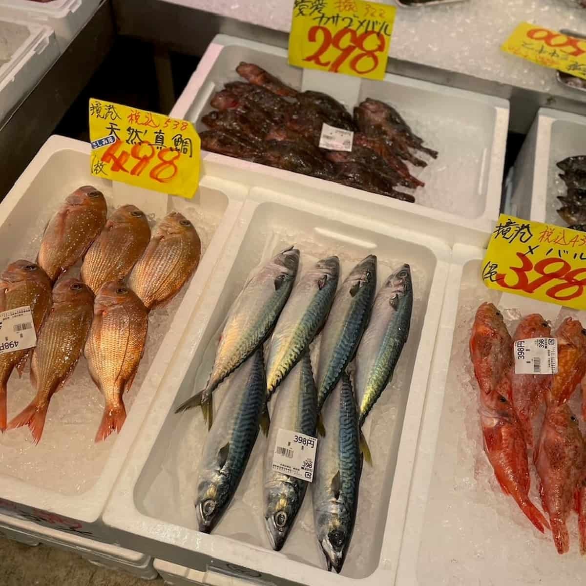 鳥取県境港市_米子鬼太郎空港近くにある『岡田商店本店』で販売している魚