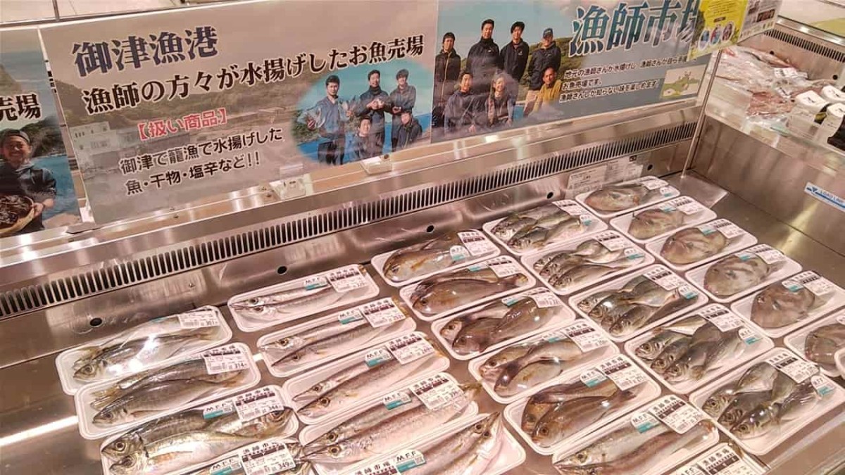 島根県松江市にある『みしまや東川津店』で販売している未利用魚