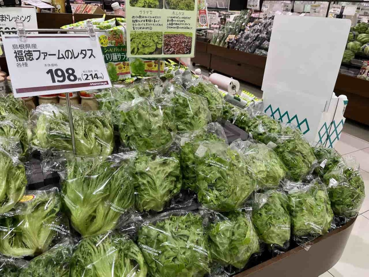 島根県松江市にある『みしまや東川津店』で販売している『福徳ファーム』のレタス