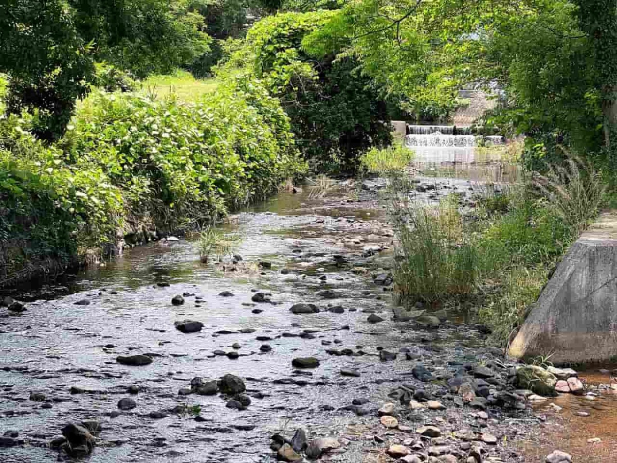 島根県松江市東出雲町にある『意東ゆめ公園』の様子