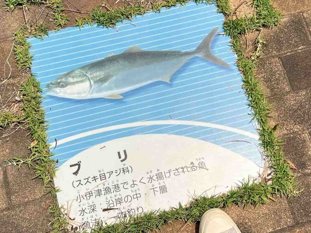 島根県出雲市にある『小伊津なぎさ公園』の様子