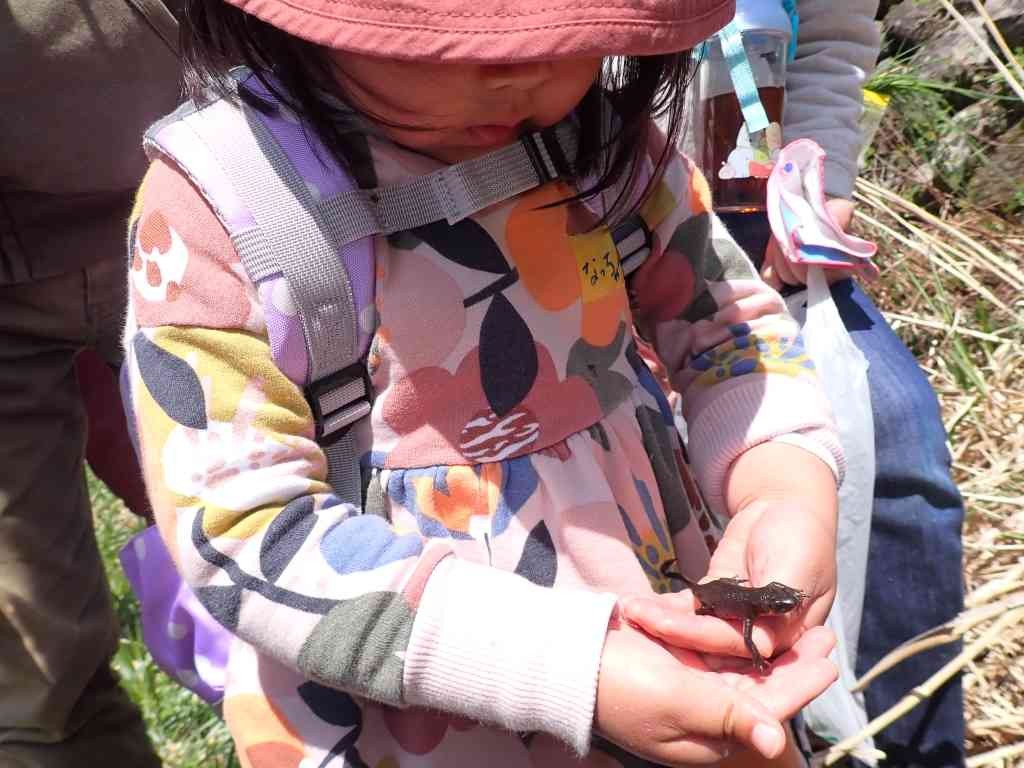 鳥取県八頭郡若桜町のイベント「【要予約】森のようちえん＋」のイメージ