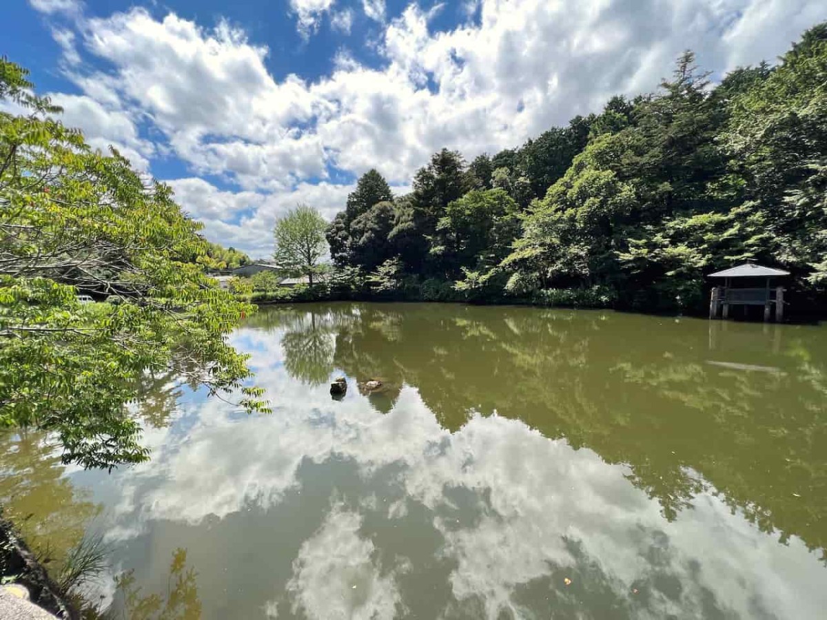 島根県松江市にある『楽山公園』の様子